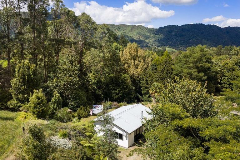 Photo of property in 49 Mangotahi Road, Thames, 3577