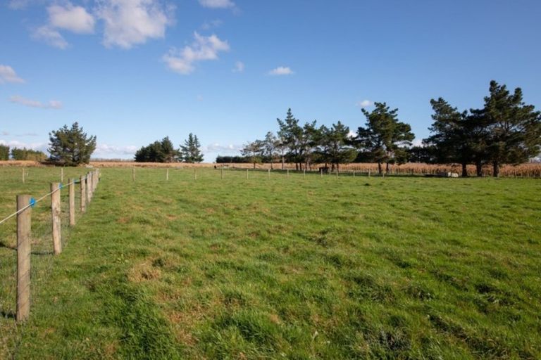 Photo of property in 898 Rongotea Road, Rongotea, Palmerston North, 4476
