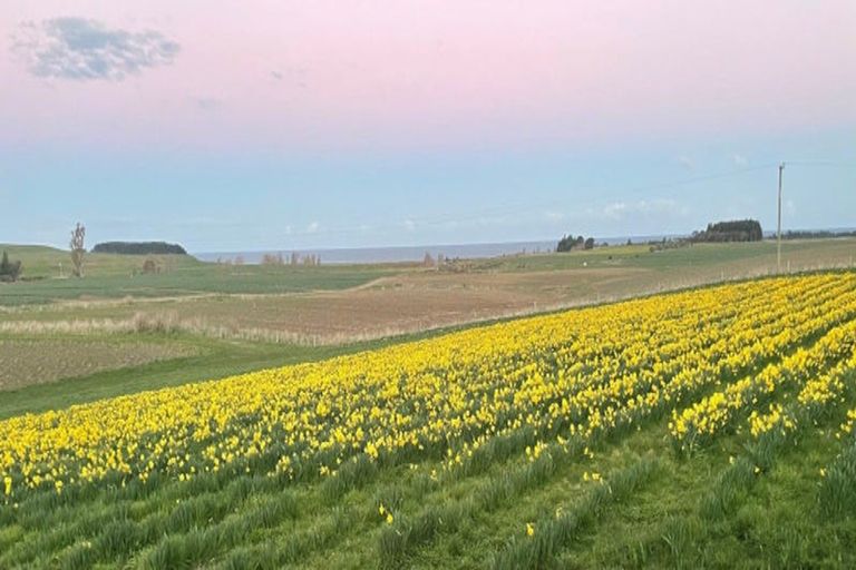 Photo of property in 49 Webbs Road, Amberley, 7481