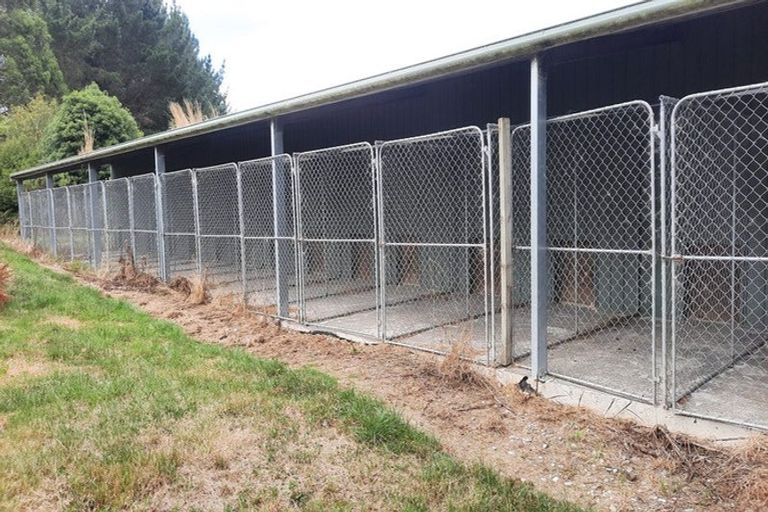 Photo of property in 746 Clutha River Road, Rongahere, Balclutha, 9274