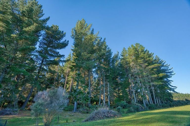 Photo of property in 89 Russell Road, Kaniere, Hokitika, 7811