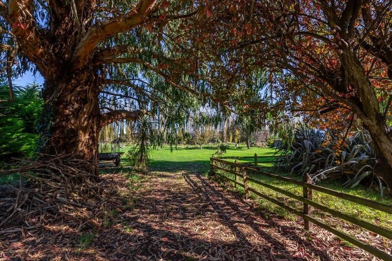 Photo of property in 34 Leander Street, Mount Maunganui, 3116