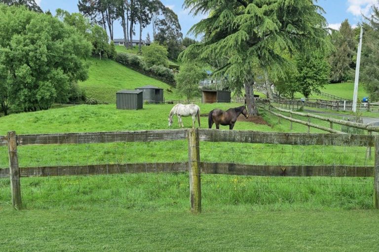 Photo of property in 28 Gallagher Street, Springfield, Rotorua, 3015