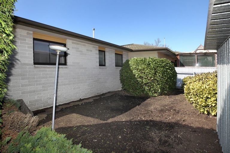 Photo of property in 207b King Street, Whakatane, 3120