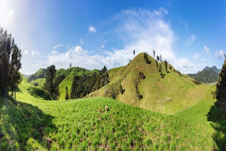 Photo of property in 309c Wentworth Valley Road, Whangamata, 3691