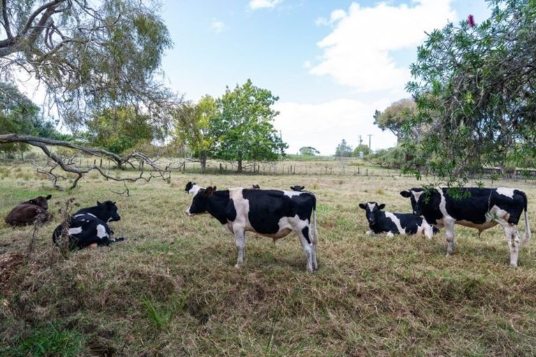 Photo of property in 87 Kahikatea Flat Road, Dairy Flat, Albany, 0794