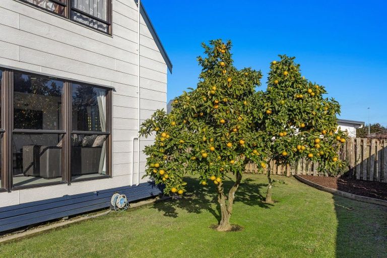 Photo of property in 23 Totara Street, Edgecumbe, 3120
