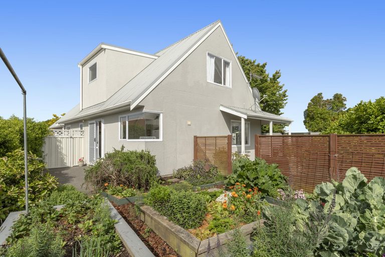 Photo of property in 12a Darraghs Road, Brookfield, Tauranga, 3110