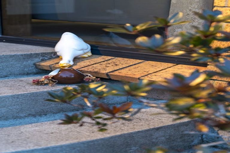 Photo of property in 20 Muscat Place, Henderson, Auckland, 0612