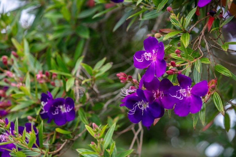 Photo of property in 2a Blundell Place, Katikati, 3129