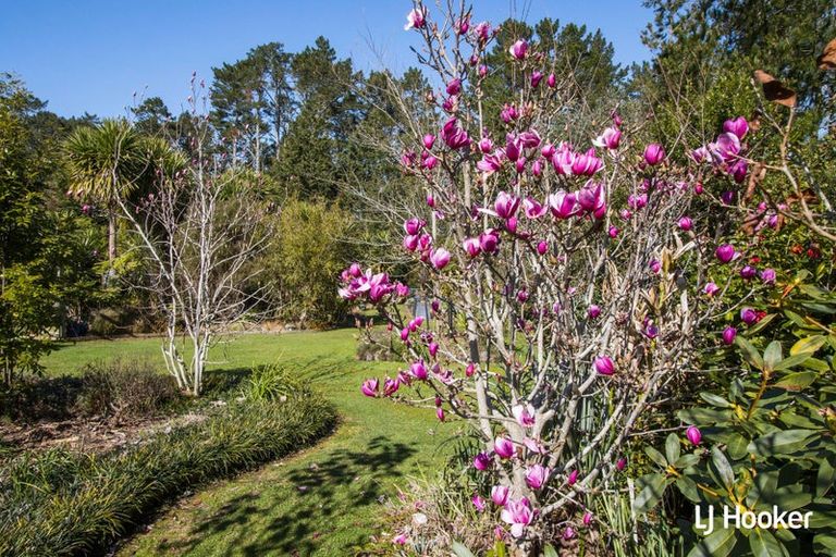 Photo of property in 30a Lawrence Road, Waihi, 3610
