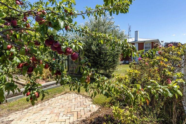 Photo of property in 2/280 Scott Street, Witherlea, Blenheim, 7201