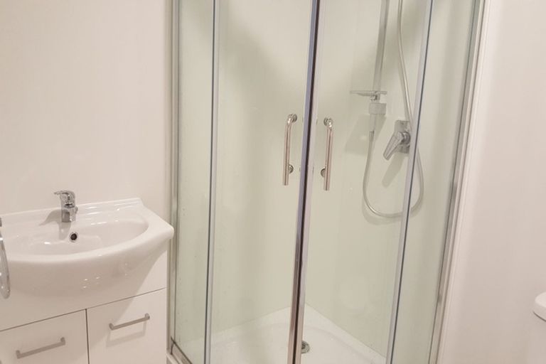 Photo of property in 41a Lake Domain Drive, Frankton, Hamilton, 3204