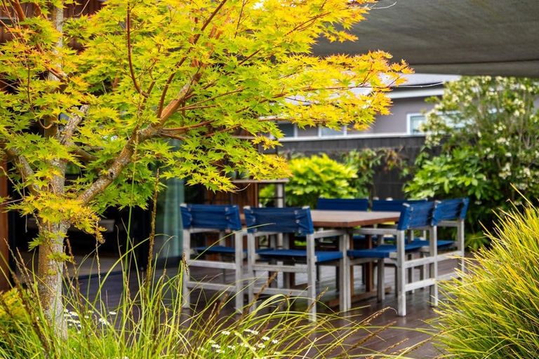 Photo of property in 87 Daelyn Drive, Richmond, 7020