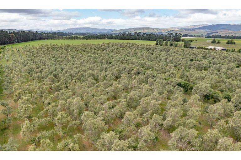 Photo of property in 164 Mackenzies Road, Waipara, Amberley, 7483