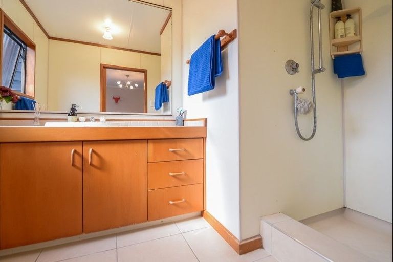 Photo of property in 22 Mcmeekan Avenue, Chartwell, Hamilton, 3210