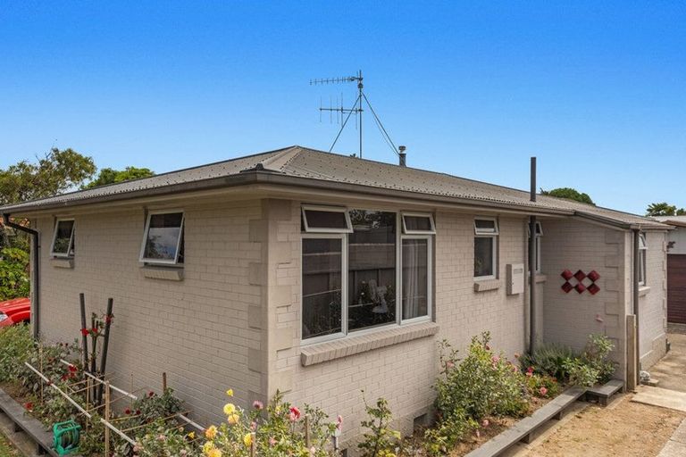 Photo of property in 44 Riverside Drive, Whakatane, 3120