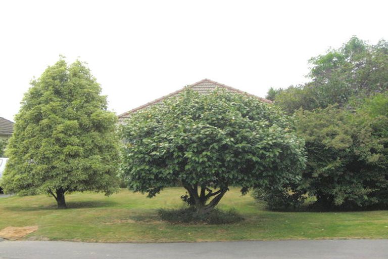 Photo of property in 30 Kenwyn Avenue, St Albans, Christchurch, 8052