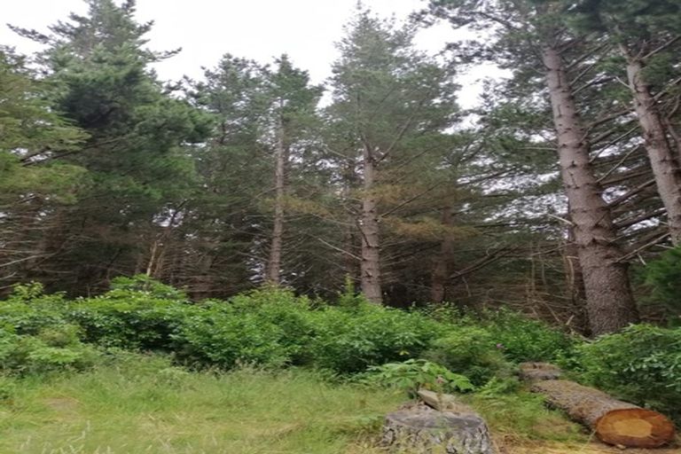 Photo of property in 11 Le Bons Bay Road, Le Bons Bay, 7583