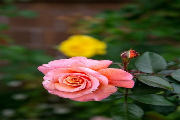 Photo of property in 17 Alpers Ridge, Leamington, Cambridge, 3432