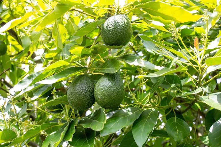 Photo of property in 97 Duke Street, Cambridge, 3434