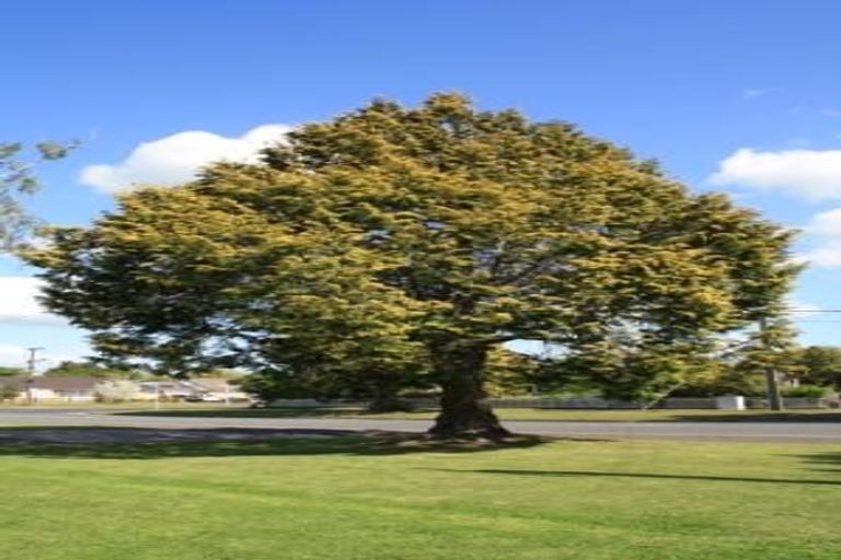 Photo of property in 47 Wordsworth Street, Leamington, Cambridge, 3432