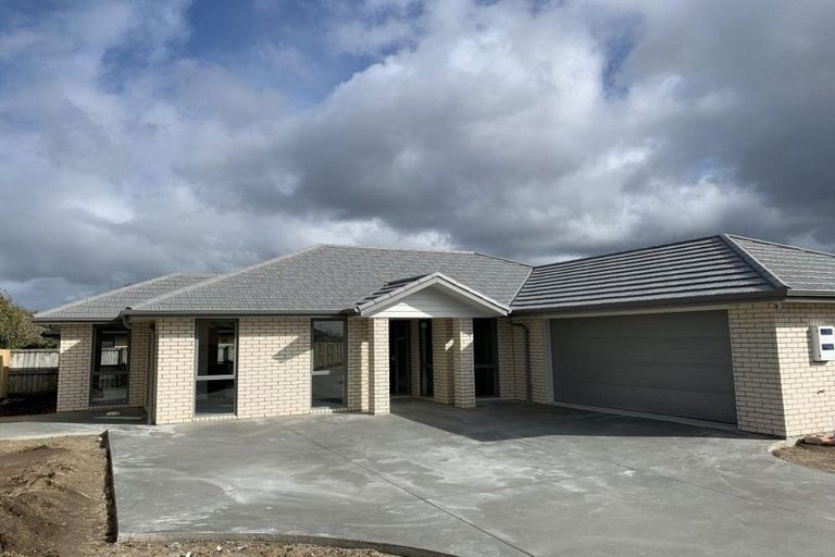 Photo of property in 199 Borman Road, Rototuna North, Hamilton, 3210