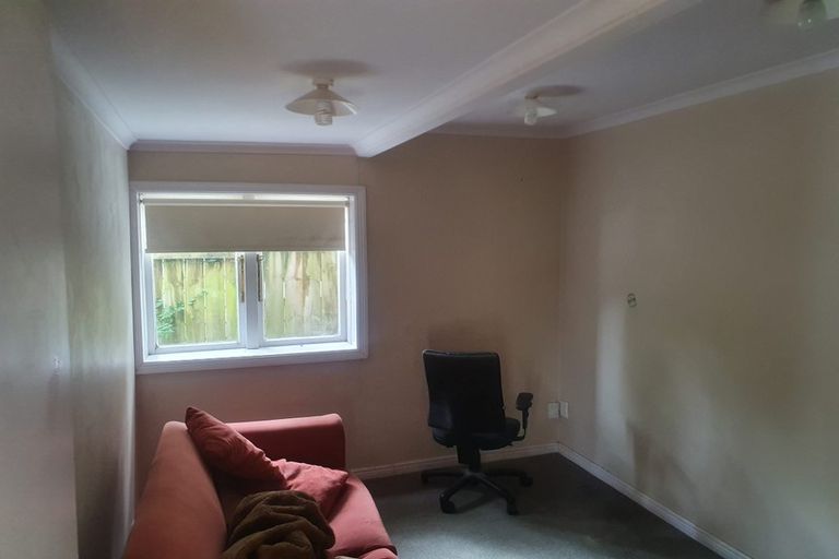 Photo of property in 35 Alexander Street, Kingsland, Auckland, 1021
