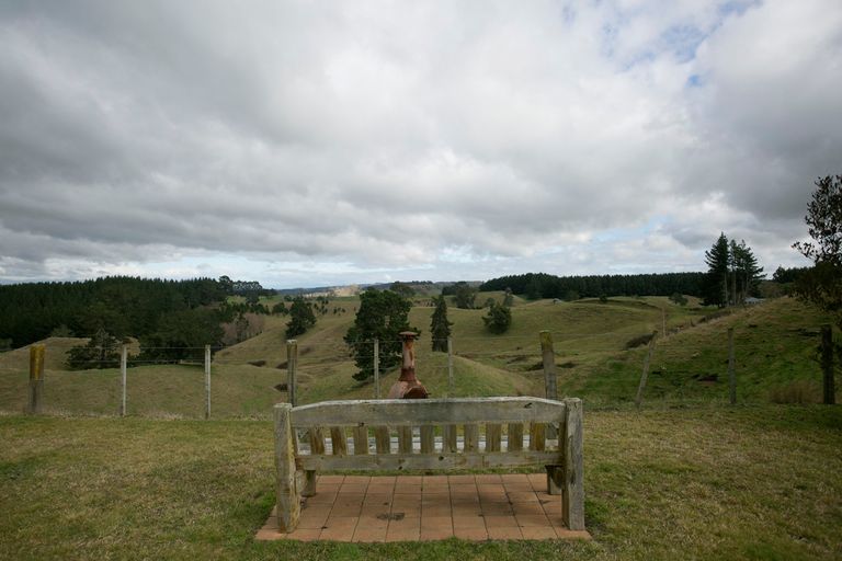 Photo of property in 145 Palmer Mill Road, Wairakei, Taupo, 3384