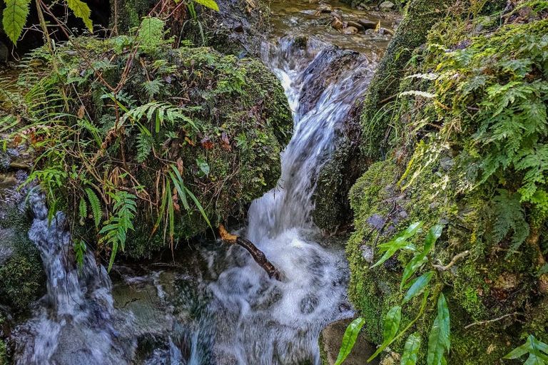 Photo of property in 288 Matiri Valley Road, Matiri, Murchison, 7077