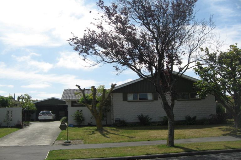 Photo of property in 115 Kaiwara Street, Hoon Hay, Christchurch, 8025
