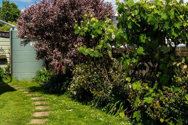 Photo of property in 16 Macfarlane Street, Kawakawa, 0210