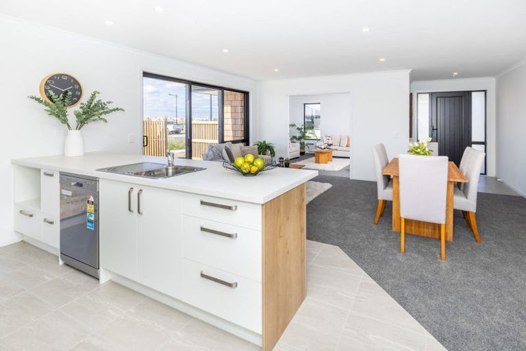 Photo of property in 17 Tekapo Road, Baverstock, Hamilton, 3200