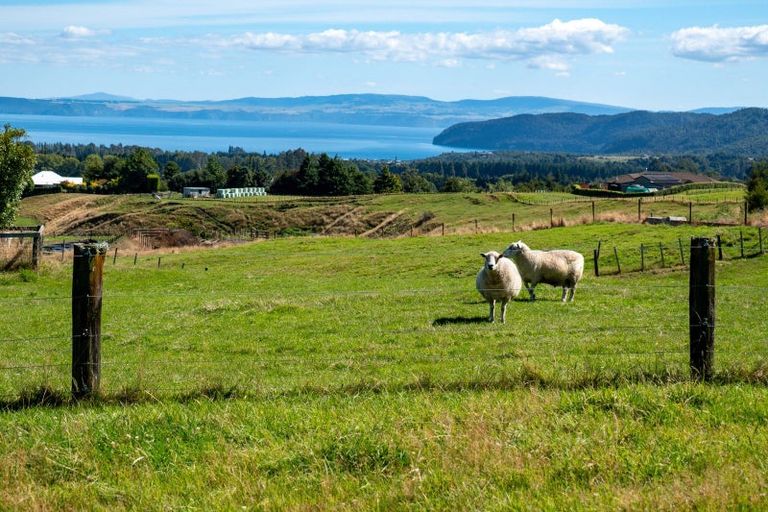 Photo of property in 69 Hitiri Road, Kinloch, Taupo, 3377