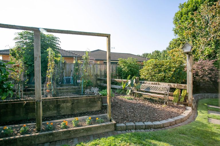 Photo of property in 10 Mannix Place, Matamata, 3400