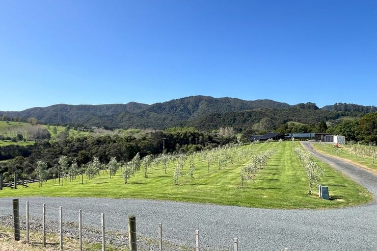 Photo of property in 367 King Road, Mangawhai, Kaiwaka, 0573