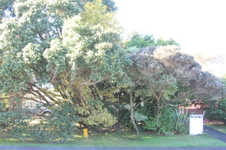 Photo of property in 20 Cargill Street, Papakura, 2110