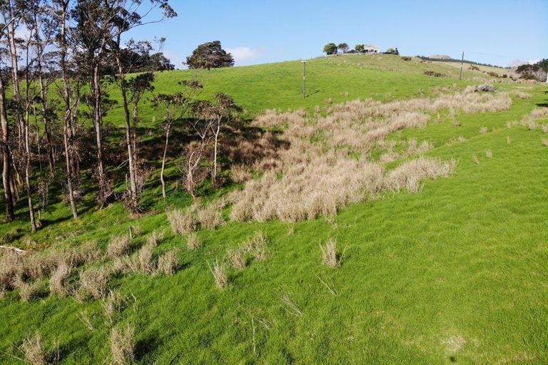 Photo of property in 3060 Kaipara Coast Highway, Glorit, 0984