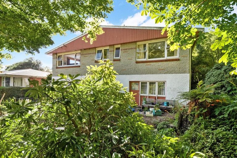Photo of property in 87 Kaikorai Valley Road, Glenross, Dunedin, 9011
