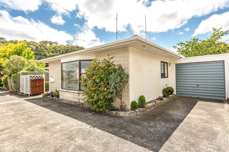 Photo of property in 19b Fergusson Street, Springvale, Whanganui, 4501