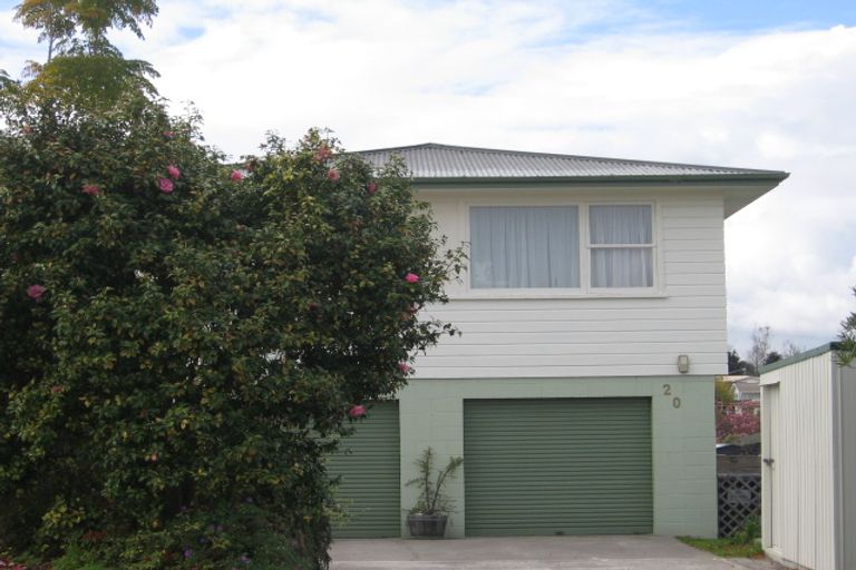 Photo of property in 20 Meadowland Street, Matua, Tauranga, 3110