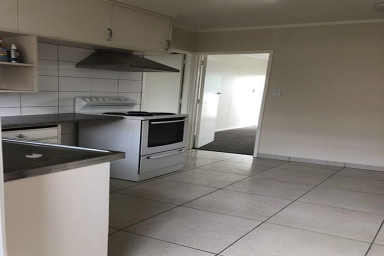 Photo of property in 52 Buscomb Avenue, Henderson, Auckland, 0610