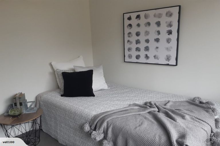 Photo of property in 1/100 Wallace Terrace, Te Awamutu, 3800