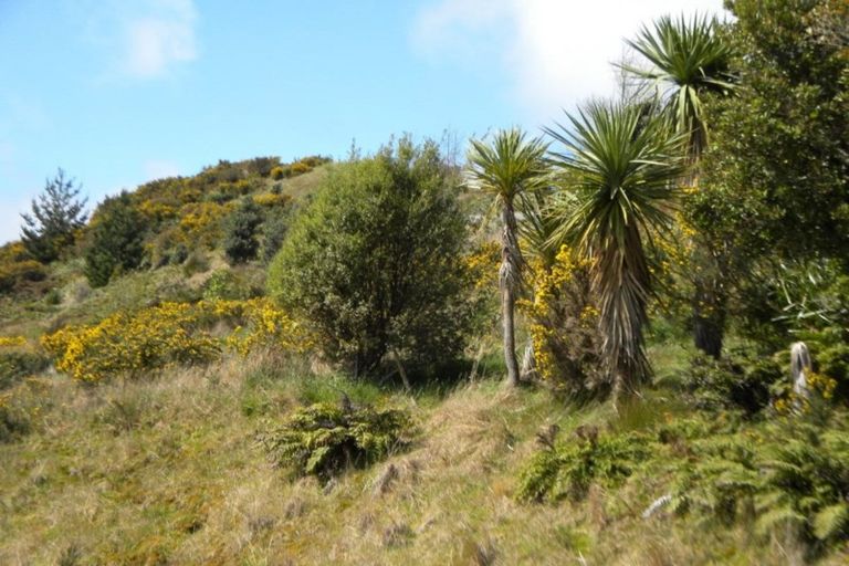 Photo of property in 2 Middle Paddock, Blue Spur, Hokitika, 7882