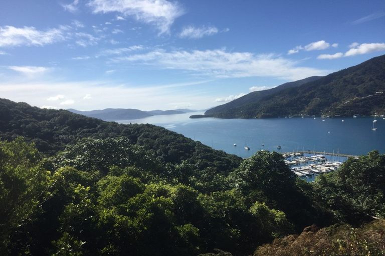 Photo of property in 43 Marina Drive, Waikawa, Picton, 7220