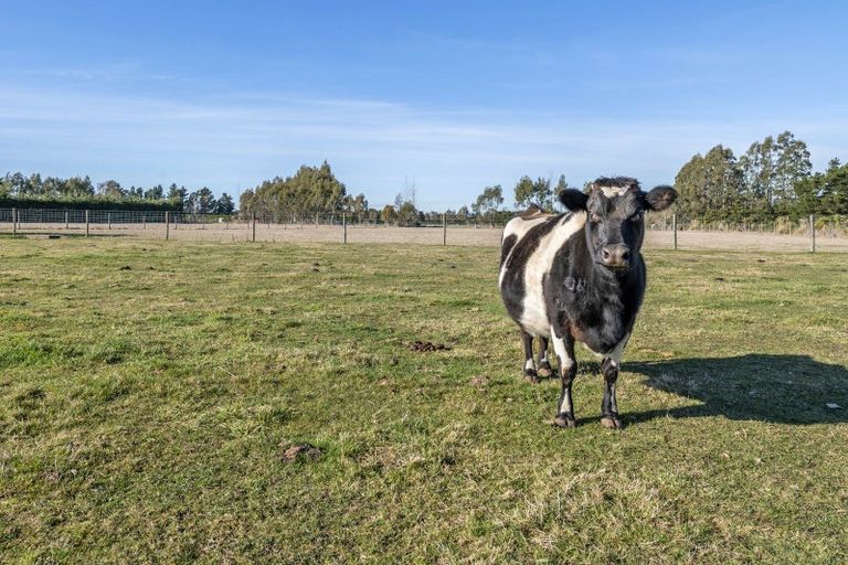 Photo of property in 596 Foothills Road, Okuku, 7473