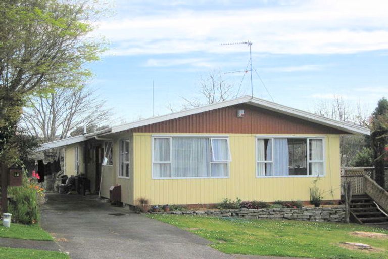 Photo of property in 14 Anne Street, Ferndale, New Plymouth, 4310