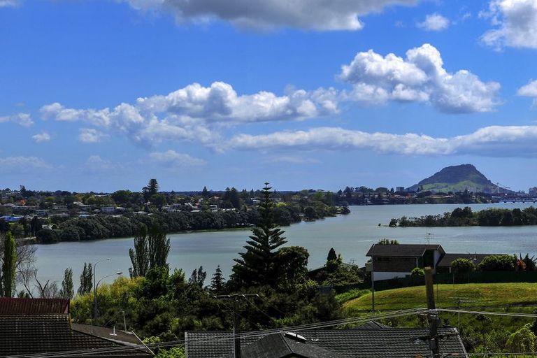 Photo of property in 22a Wickham Place, Hairini, Tauranga, 3112