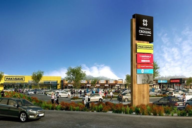 Photo of property in 217 Te Ranga Memorial Drive, Pyes Pa, Tauranga, 3112