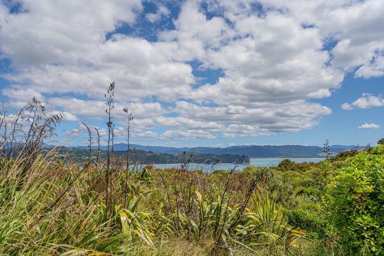 Photo of property in 404 Lees Road, Hahei, Whitianga, 3591
